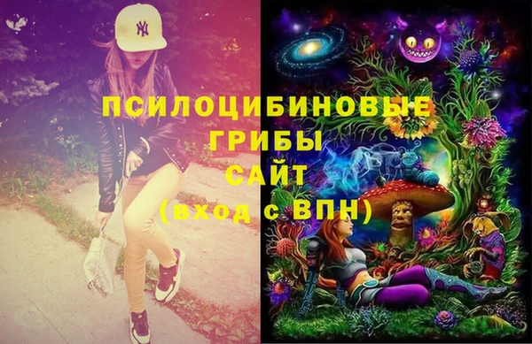 ПСИЛОЦИБИНОВЫЕ ГРИБЫ Всеволожск