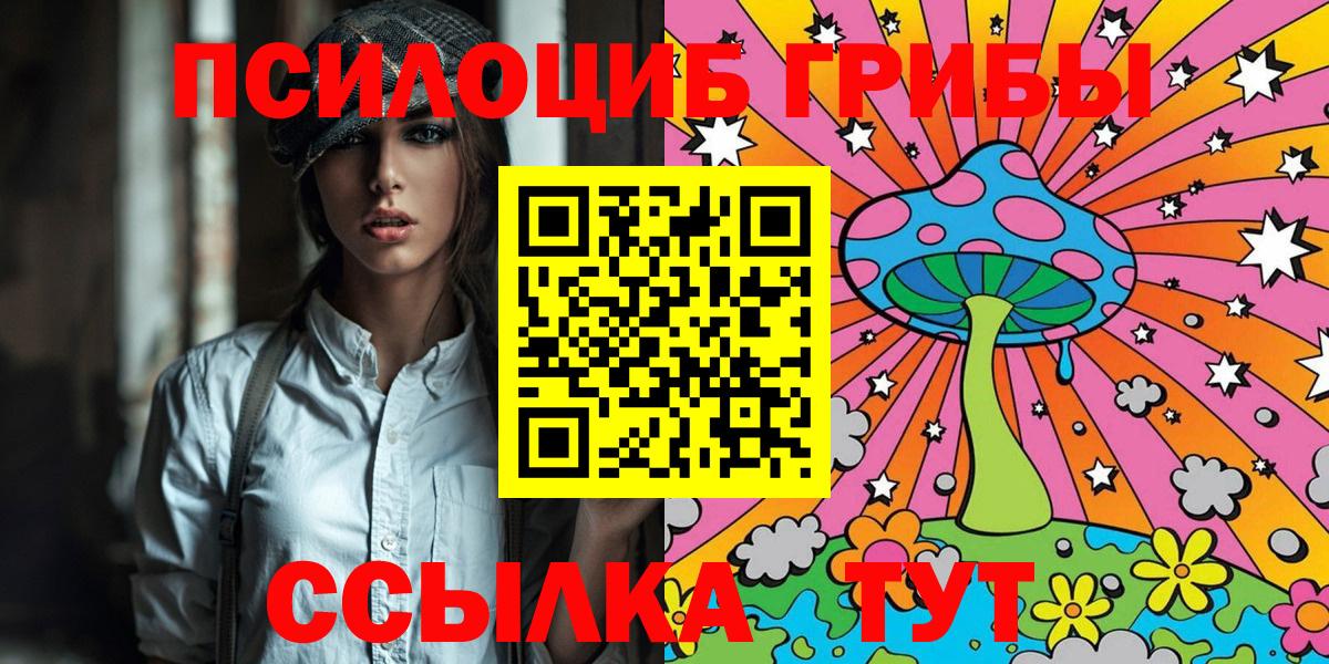 Псилоцибиновые грибы мицелий Дятьково