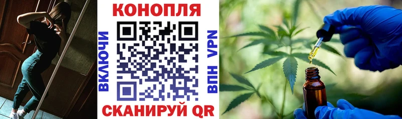 Каннабис сатива  продажа наркотиков  Дятьково 